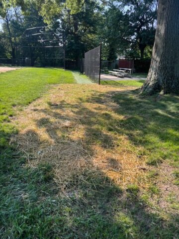 Isreal Park drainage repairs1 a view of the field at Isreal Park